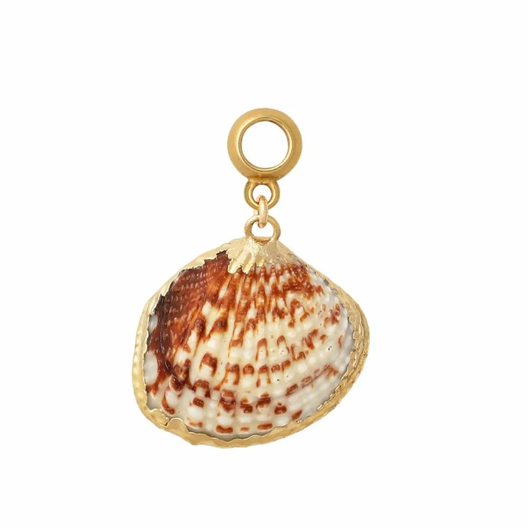 Brinker & Eliza Seashell Earring Charm